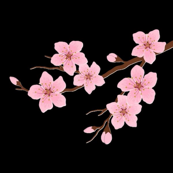 Sakura Branch